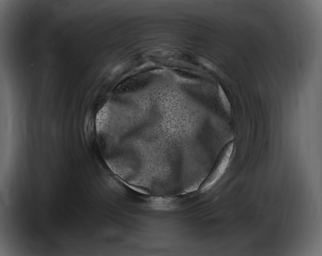 X0000086910192200705071311