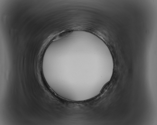 X0000086910193200705071311