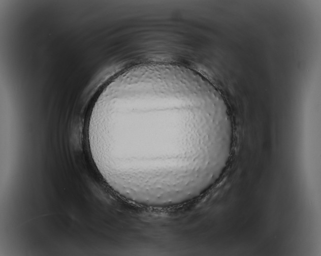 X0000086910194200705071311