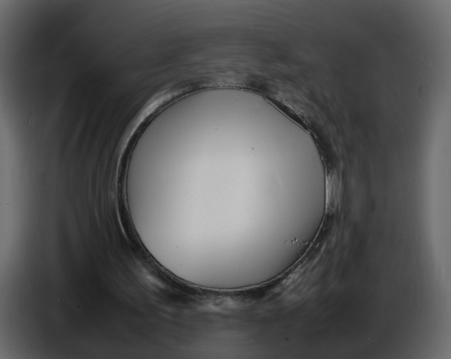 X0000086910195200705071311