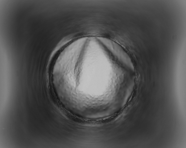 X0000086910198200705071310