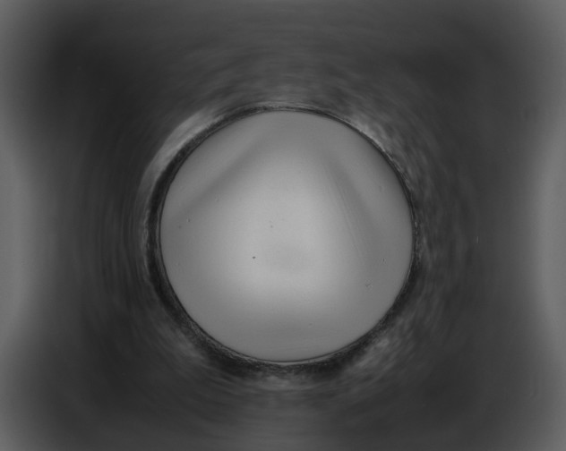 X0000086910199200705071310