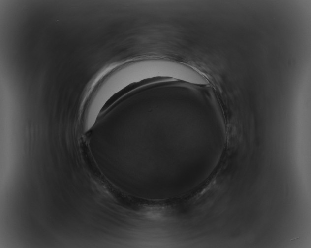 X0000086910200200705071310