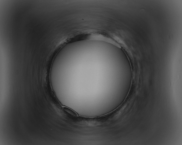 X0000086910201200705071310