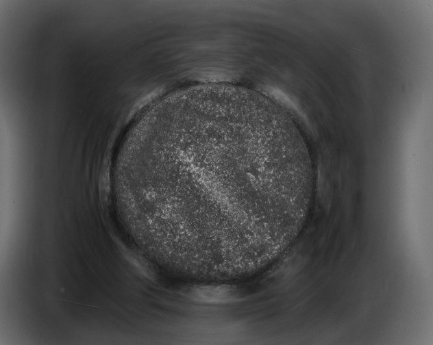 X0000086910202200705071310