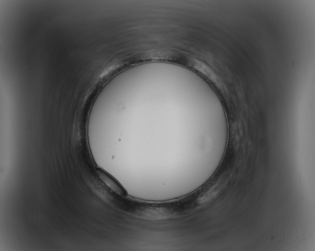 X0000086910203200705071310