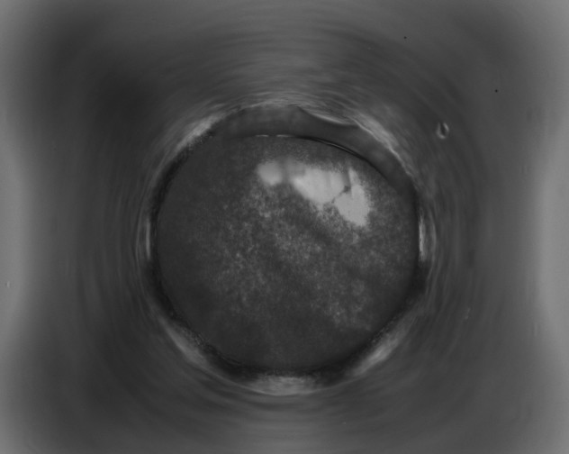 X0000086910205200705071310