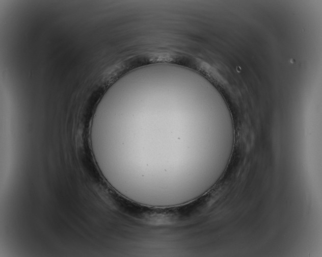 X0000086910209200705071310