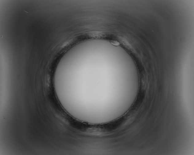 X0000086910211200705071310