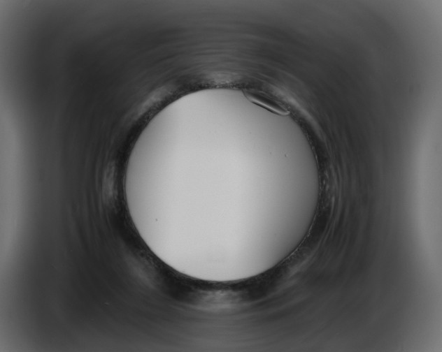 X0000086910212200705071310