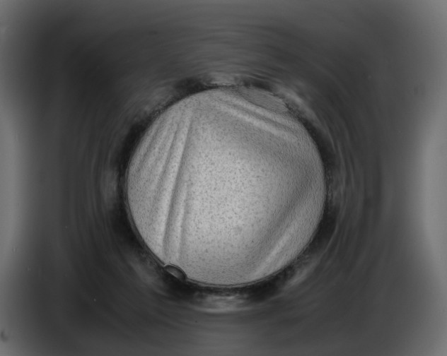 X0000086910213200705071310