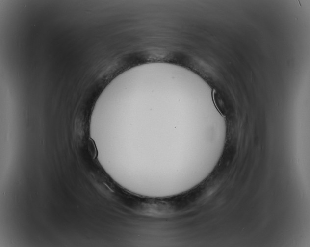 X0000086910215200705071310