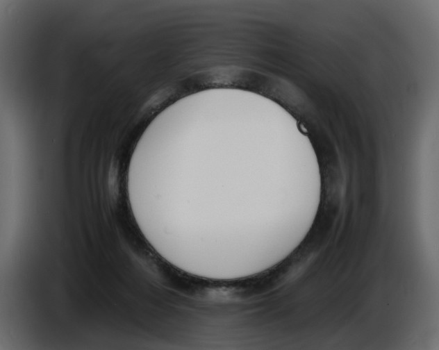 X0000086910216200705071310