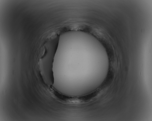 X0000086910219200705071310