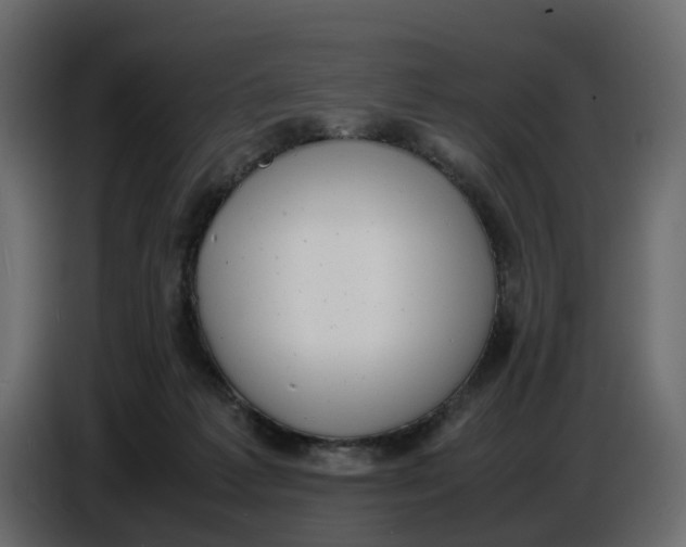 X0000086910221200705071310