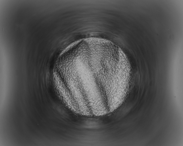 X0000086910222200705071310