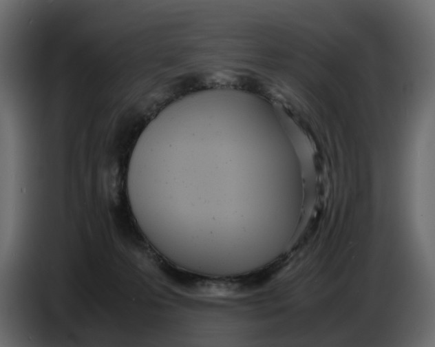 X0000086910223200705071310