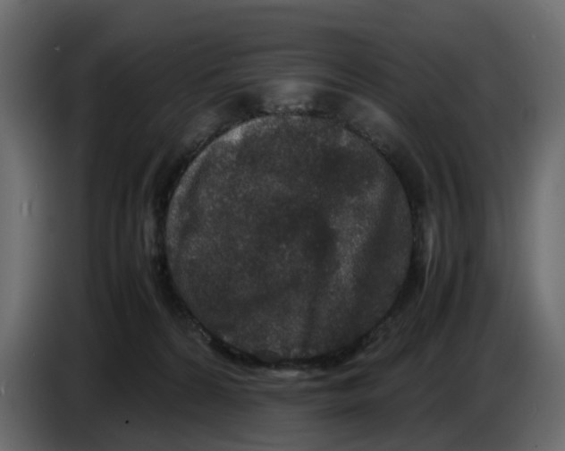 X0000086910224200705071310