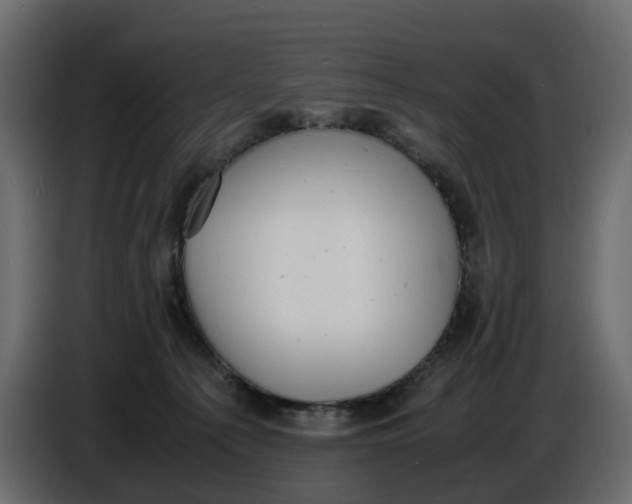 X0000086910225200705071310