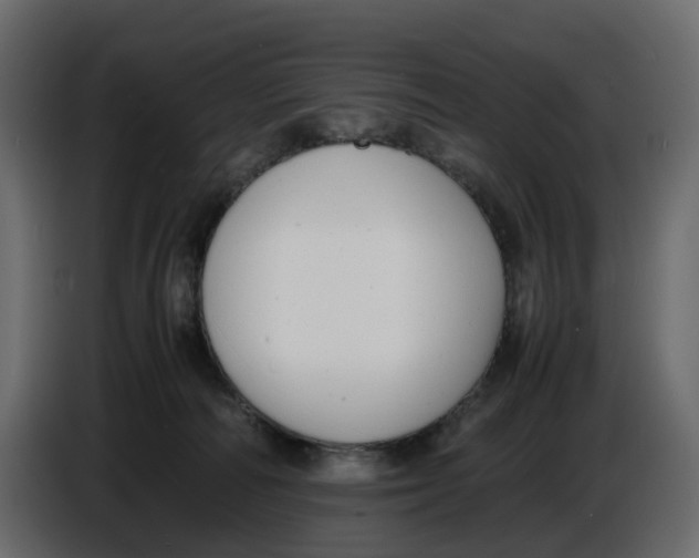 X0000086910226200705071310