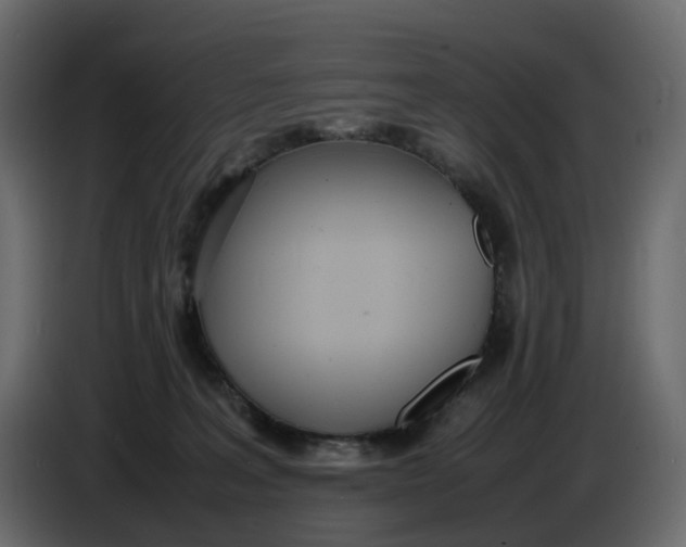 X0000086910227200705071310