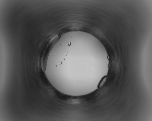 X0000086910228200705071310