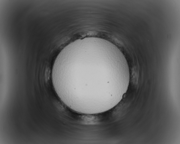 X0000086910230200705071310