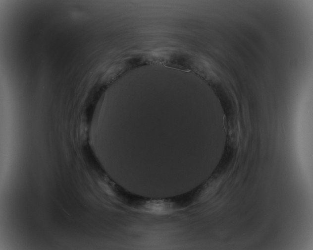 X0000086910231200705071310