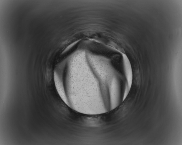 X0000086910232200705071310