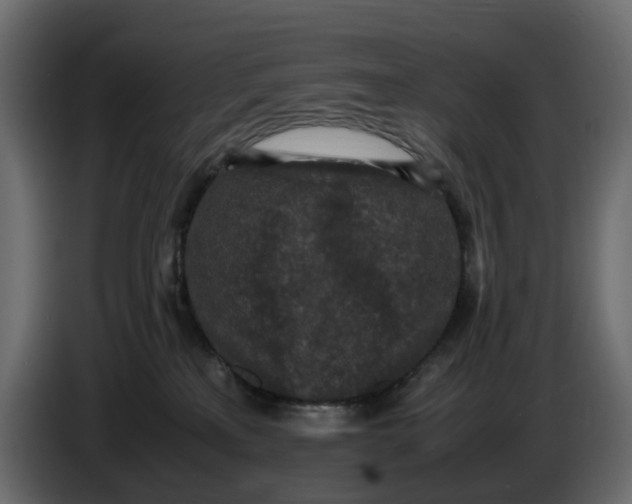 X0000086910233200705071310