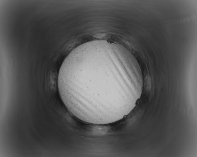 X0000086910234200705071310