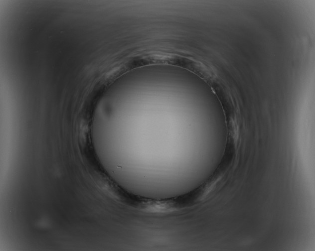 X0000086910235200705071310