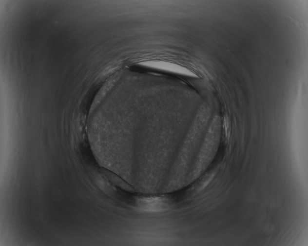 X0000086910237200705071310