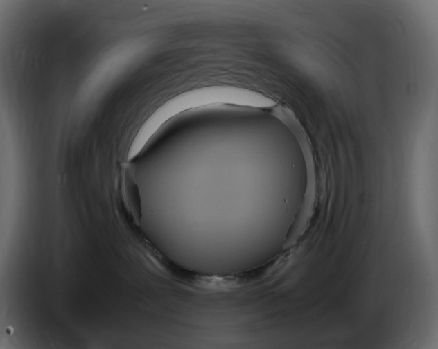 X0000086910239200705071310