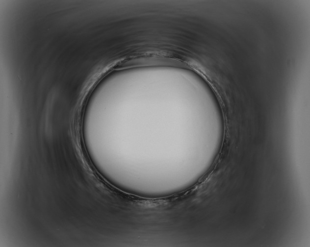 X0000086910241200705071309