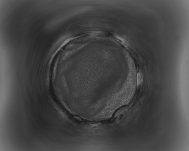 X0000086910243200705071309