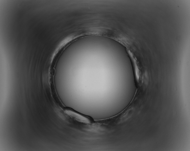 X0000086910244200705071309