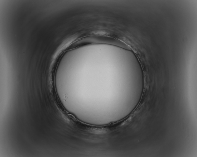 X0000086910245200705071309