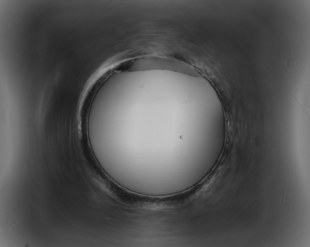 X0000086910246200705071309