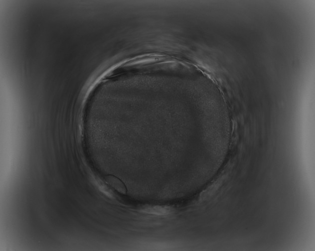 X0000086910247200705071309