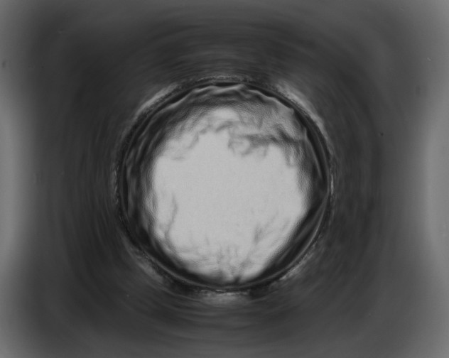 X0000086910249200705071309