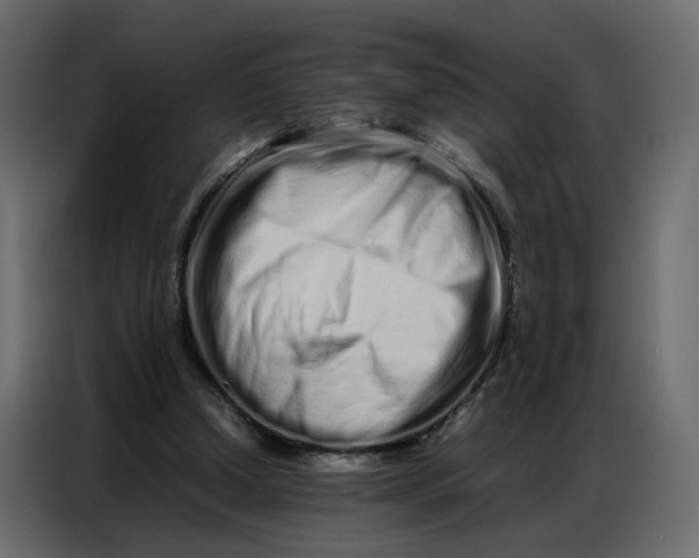 X0000086910250200705071309