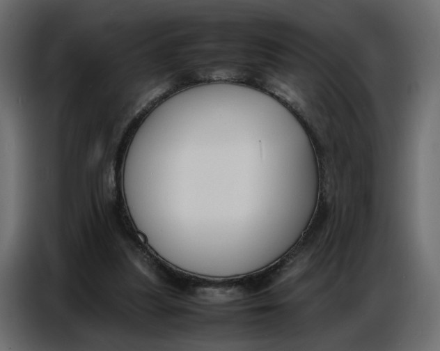 X0000086910251200705071309