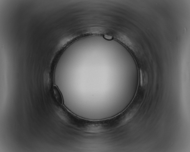 X0000086910252200705071309