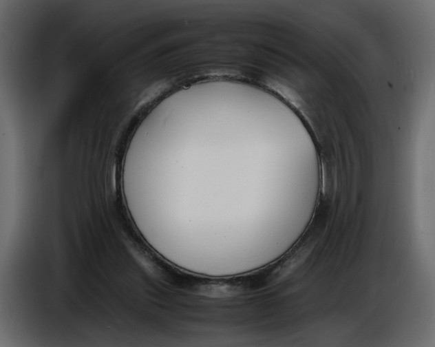 X0000086910253200705071309