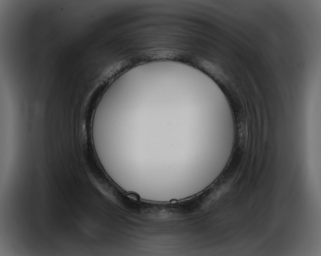 X0000086910254200705071309