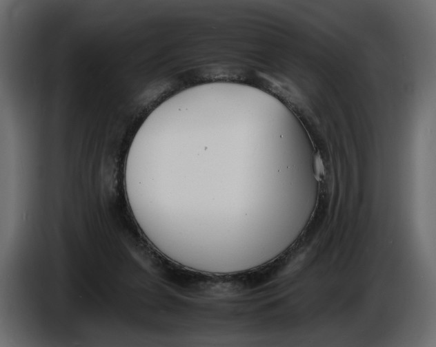 X0000086910255200705071309