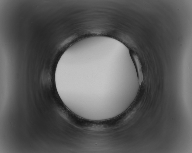 X0000086910256200705071309