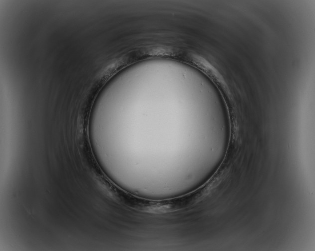 X0000086910257200705071310