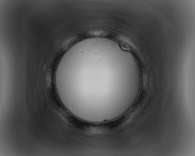 X0000086910259200705071310